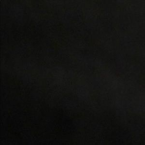 Meet your Posher, Hayden